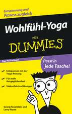 Wohlfuhl–Yoga fur Dummies Das Pocketbuch