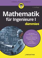 Mathematik für Ingenieure I für Dummies 3e