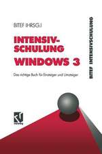 Intensivschulung Windows 3: Das richtige Buch für Einsteiger und Umsteiger