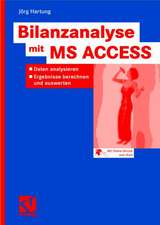 Bilanzanalyse mit MS ACCESS: Daten analysieren, Ergebnisse berechnen und auswerten