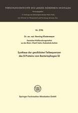 Synthese der geschützten Teilsequenzen des B-Proteins vom Bacteriophagen fd