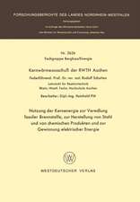 Nutzung der Kernenergie zur Veredlung fossiler Brennstoffe, zur Herstellung von Stahl und von chemischen Produkten und zur Gewinnung elektrischer Energie