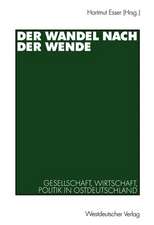 Der Wandel nach der Wende: Gesellschaft, Wirtschaft, Politik in Ostdeutschland