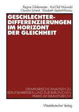 Geschlechterdifferenzierungen im Horizont der Gleichheit: Exemplarische Analysen zu Berufskarrieren und zur beruflichen Praxis im Familienrecht