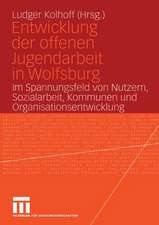 Entwicklung der offenen Jugendarbeit in Wolfsburg: Im Spannungsfeld von Nutzern, Sozialarbeit, Kommunen und Organisationsentwicklung