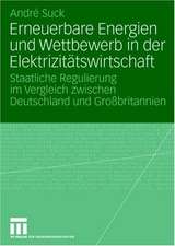 Erneuerbare Energien und Wettbewerb in der Elektrizitätswirtschaft: Staatliche Regulierung im Vergleich zwischen Deutschland und Großbritannien