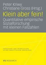 Klein aber fein!: Quantitative empirische Sozialforschung mit kleinen Fallzahlen