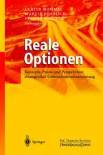 Reale Optionen: Konzepte, Praxis und Perspektiven strategischer Unternehmensfinanzierung