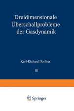 Dreidimensionale Überschallprobleme der Gasdynamik