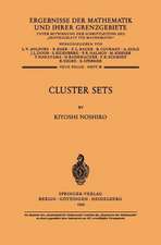 Cluster Sets