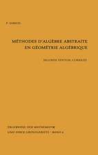 Methodes d'algebre abstraite en geometrie algebrique