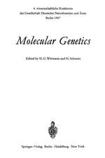 Molecular Genetics: 4. wissenschaftliche Konferenz der Gesellschaft Deutscher Naturforscher und Ärzte Berlin 1967