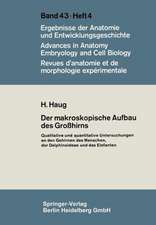 Der makroskopische Aufbau des Großhirns: Qualitative und quantitative Untersuchungen an den Gehirnen des Menschen, der Delphinoideae und des Elefanten