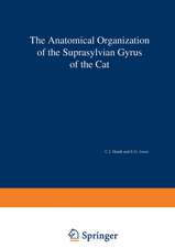 The Anatomical Organization of the Suprasylvian Gyrus of the Cat