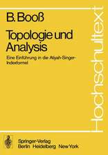 Topologie und Analysis: Einführung in die Atiyah-Singer-Indexformel