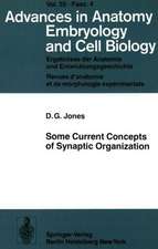 Some Current Concepts of Synaptic Organization