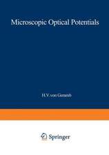 Microscopic Optical Potentials: Proceedings of the Hamburg Topical Workshop on Nuclear Physics, Held at the University of Hamburg, Hamburg, Germany, September 25–27, 1978