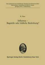 Influenza — Bagatelle oder tödliche Bedrohung?: Vorgelegt in der Sitzung vom 3. Februar 1979