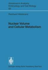 Nuclear Volume and Cellular Metabolism