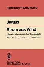 Strom aus Wind: Integration einer regenerativen Energiequelle