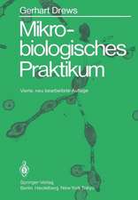 Mikrobiologisches Praktikum