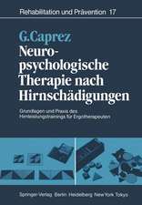 Neuropsychologische Therapie nach Hirnschädigungen: Grundlagen und Praxis des Hirnleistungstrainings für Ergotherapeuten