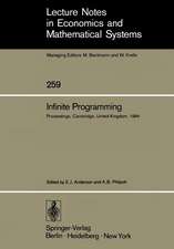 Infinite Programming