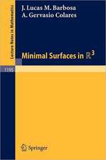 Minimal Surfaces in R 3