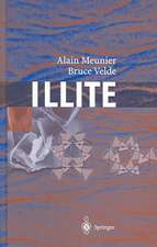 Illite: Origins, Evolution and Metamorphism