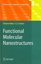 Functional Molecular Nanostructures