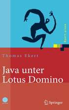 Java unter Lotus Domino