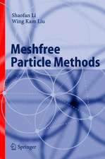 Meshfree Particle Methods