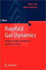 Rarefied Gas Dynamics: Fundamentals, Simulations and Micro Flows