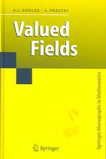 Valued Fields