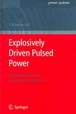 Explosively Driven Pulsed Power: Helical Magnetic Flux Compression Generators