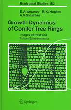 Growth Dynamics of Conifer Tree Rings