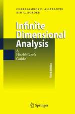 Infinite Dimensional Analysis: A Hitchhiker's Guide