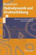 Hydrodynamik und Strukturbildung: Mit einer kurzen Einführung in die Kontinuumsmechanik