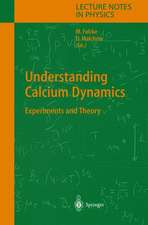 Understanding Calcium Dynamics: Experiments and Theory