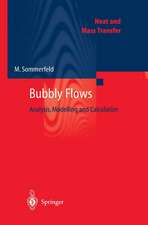 Bubbly Flows: Analysis, Modelling and Calculation