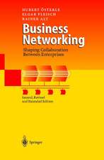 Business Networking: Shaping Collaboration Between Enterprises