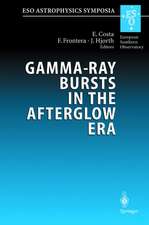 Gamma-Ray Bursts in the Afterglow Era