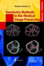 Geometric Methods in Bio-Medical Image Processing