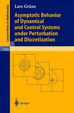 Asymptotic Behavior of Dynamical and Control Systems under Pertubation and Discretization