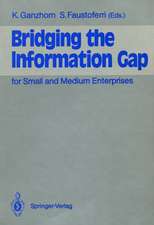 Bridging the Information Gap: for Small and Medium Enterprises