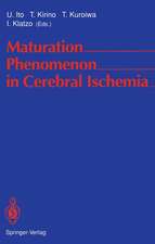 Maturation Phenomenon in Cerebral Ischemia: Proceedings of the Satellite Symposium of the XIth International Congress of Neuropathology Tokyo, September 11–12, 1990