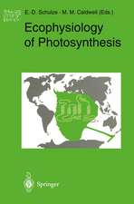 Ecophysiology of Photosynthesis