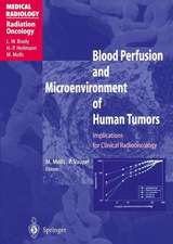 Blood Perfusion and Microenvironment of Human Tumors