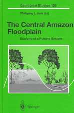 The Central Amazon Floodplain