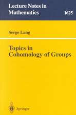 Topics in Cohomology of Groups